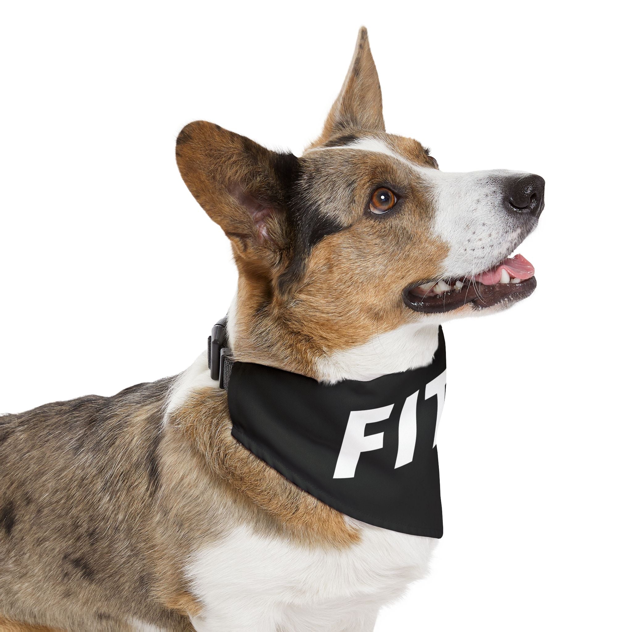 FIT40 Pet Bandana Collar